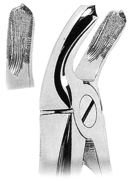 Extracting Forceps