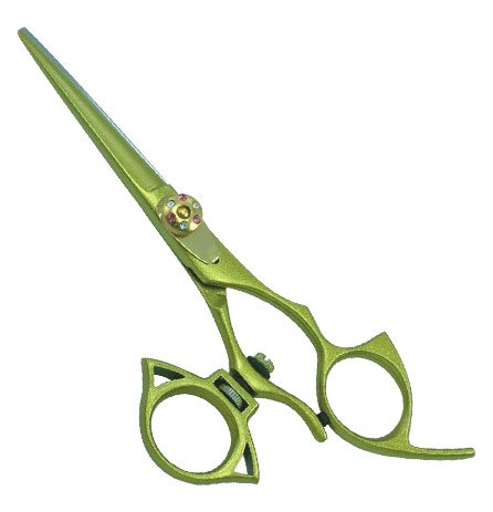 Professional Razor Shears