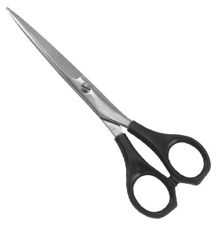 Barber Shears